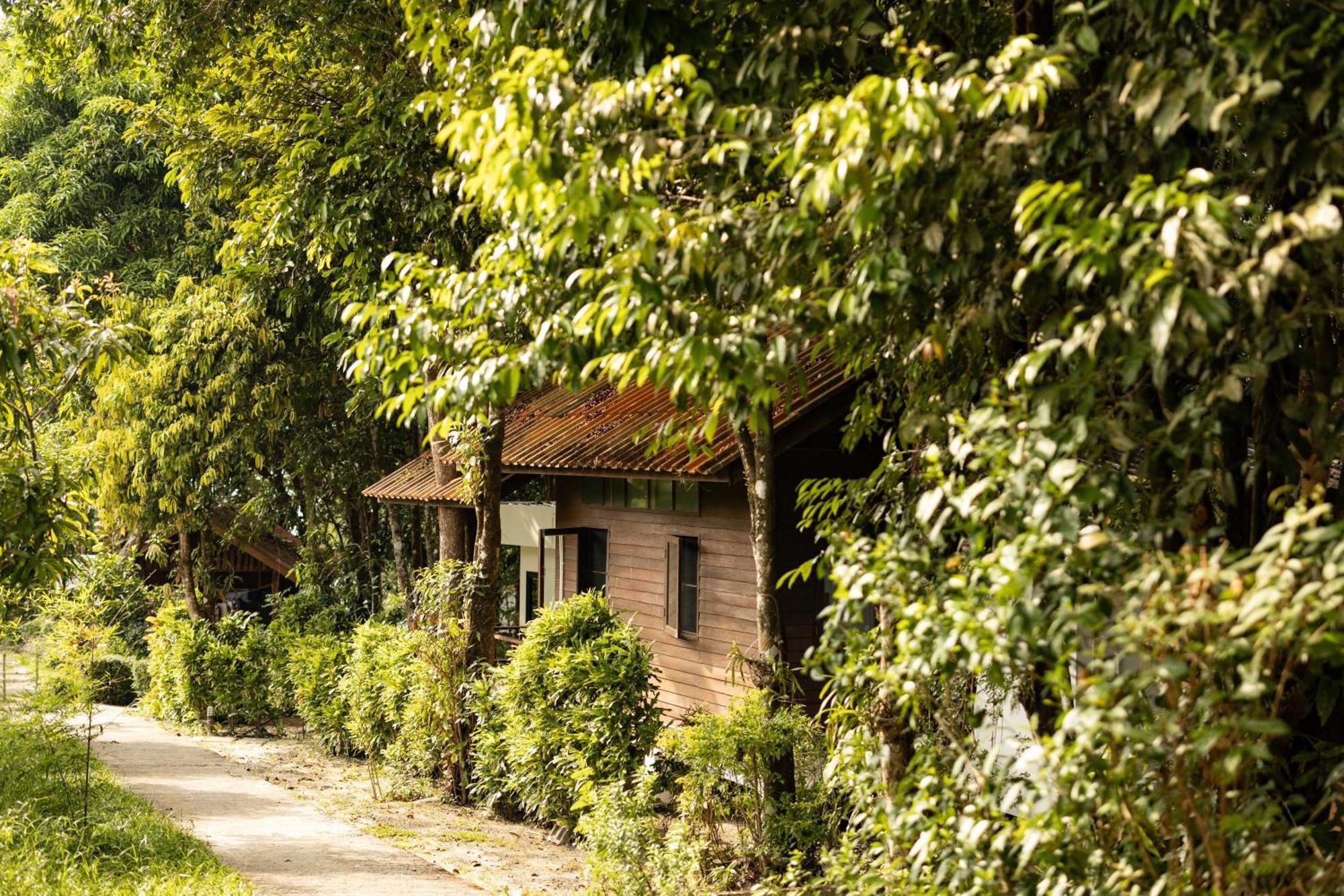 Barefoot Project Formerly Baan Klong Kleng Ко Паям Екстериор снимка